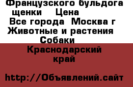 Французского бульдога щенки  › Цена ­ 35 000 - Все города, Москва г. Животные и растения » Собаки   . Краснодарский край